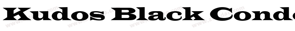 Kudos Black Condensed SSi Normal字体转换